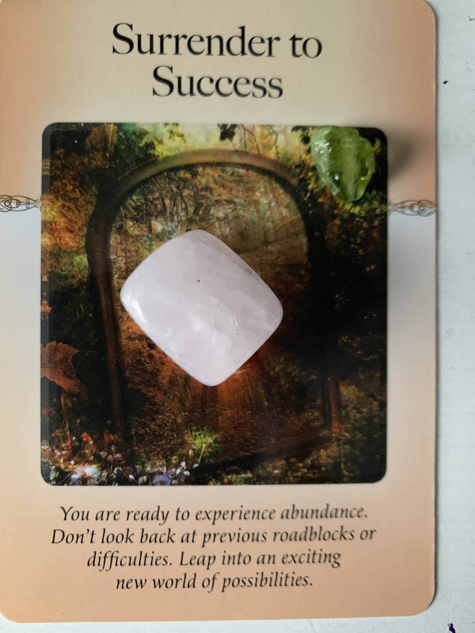 Surrender to Success