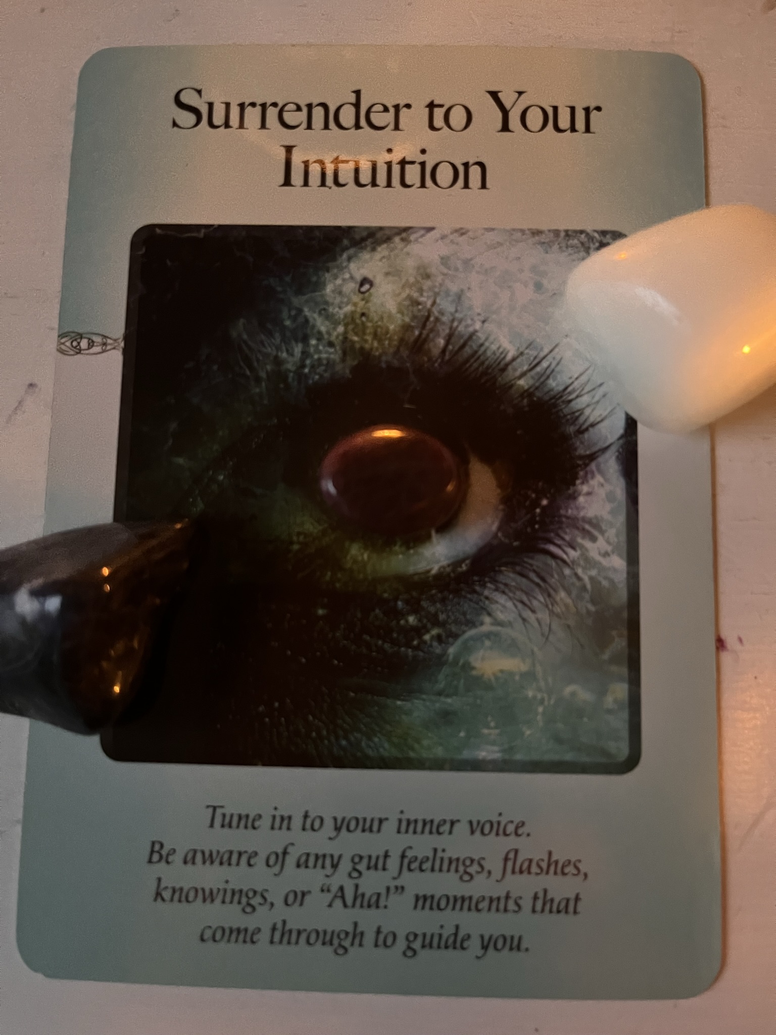Surrender to Your Intuition