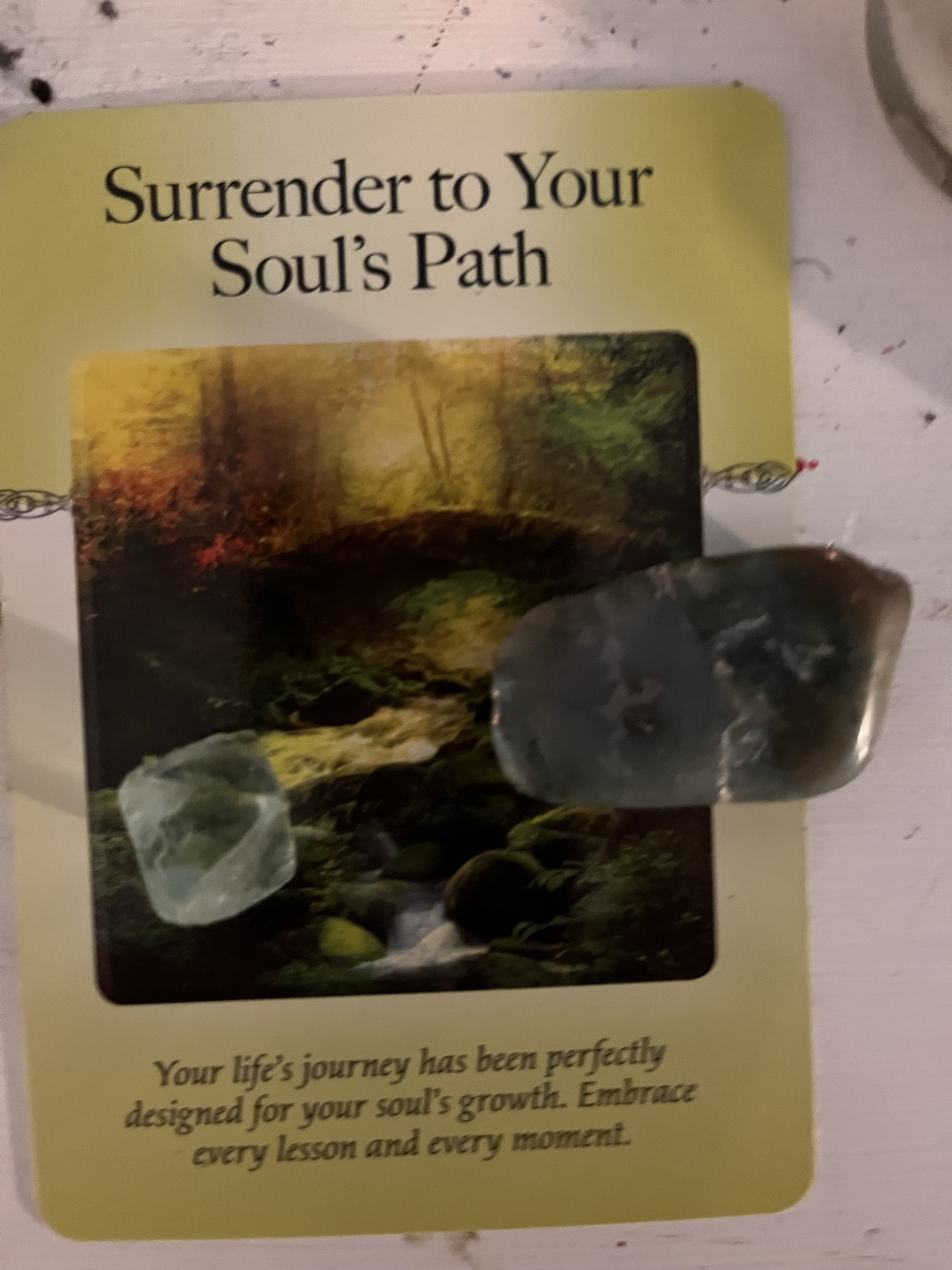 Surrender to Your Soul's Path