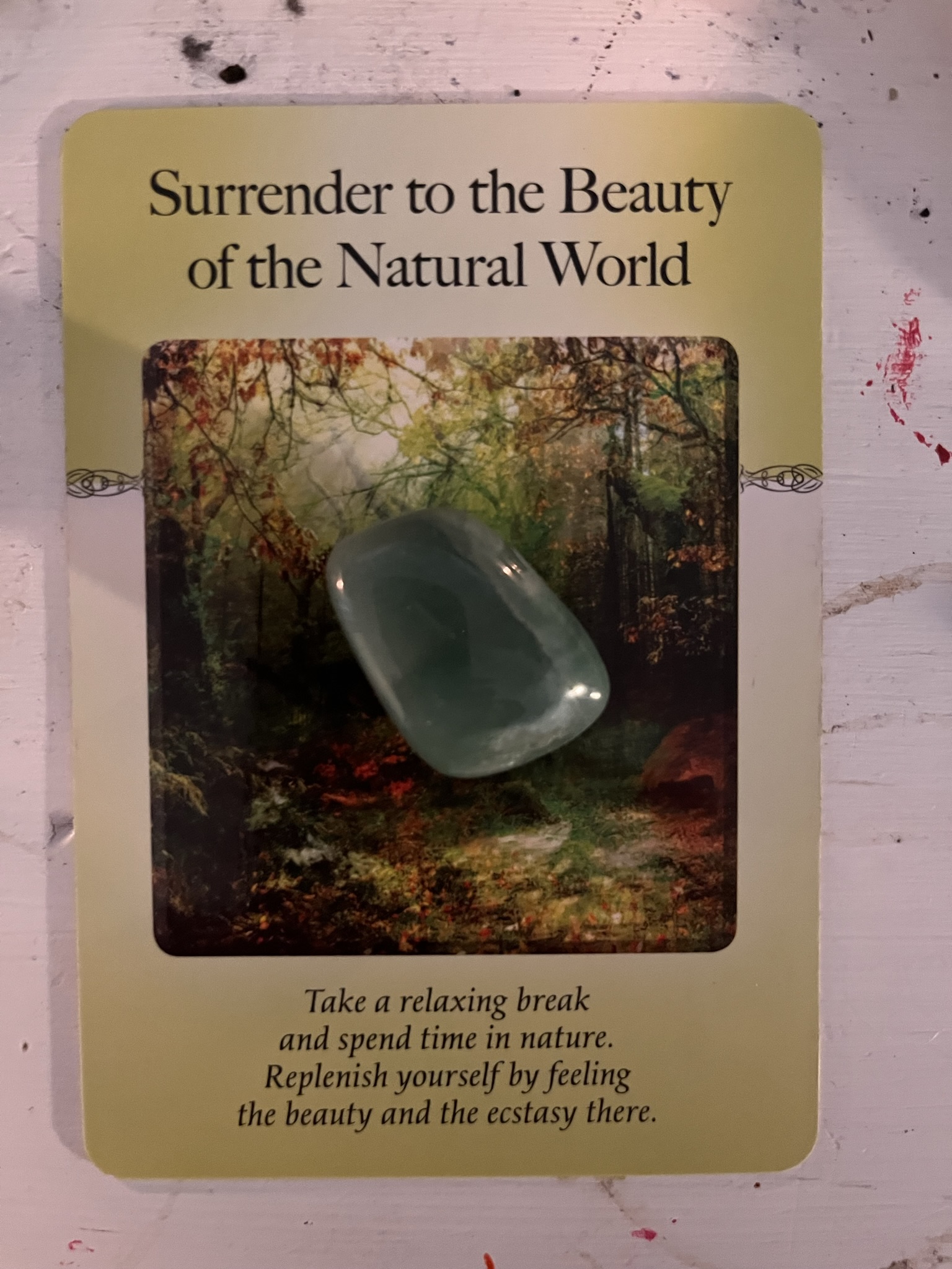 Surrender to the Beauty of the Natural World